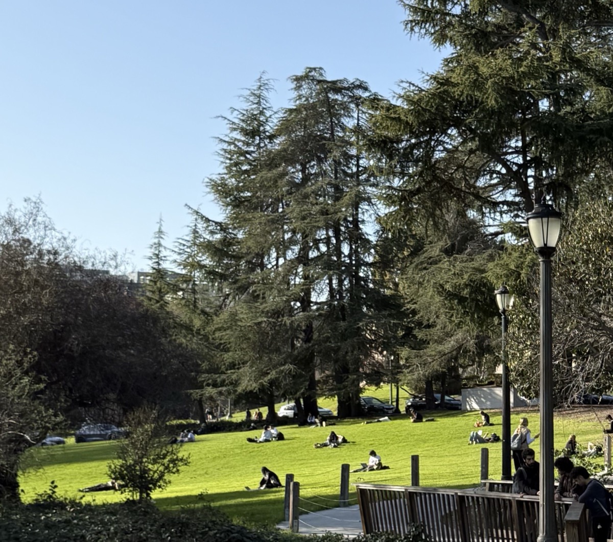 Wisdom, or Prompt-Engineering?